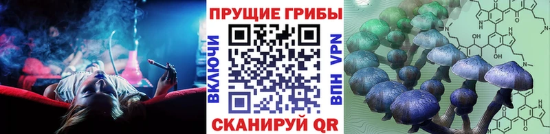 Галлюциногенные грибы Magic Shrooms  Данков 